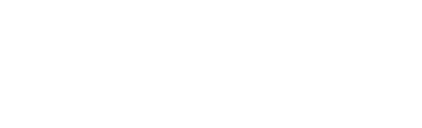 adeptaudio